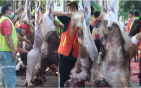 Qurban dan Sholat Idul Adha 1443H di Masjid Al Huda